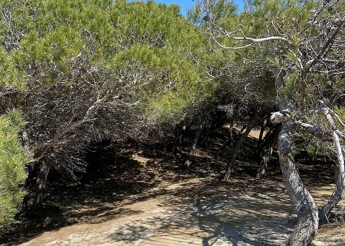 Padula Bianca - Con Accesso Privato Per La - By Click Salento *